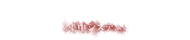 集中システム