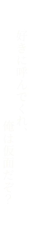 好きに呼んでくれ、俺は仮面だぞ？