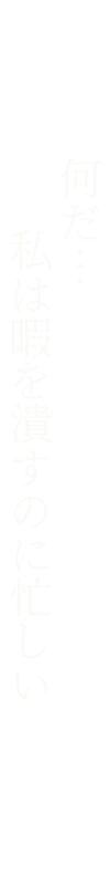 何だ…私は暇を潰すのに忙しい