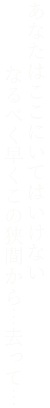 あなたはここにいてはいけない なるべく早くこの狭間から…去って…